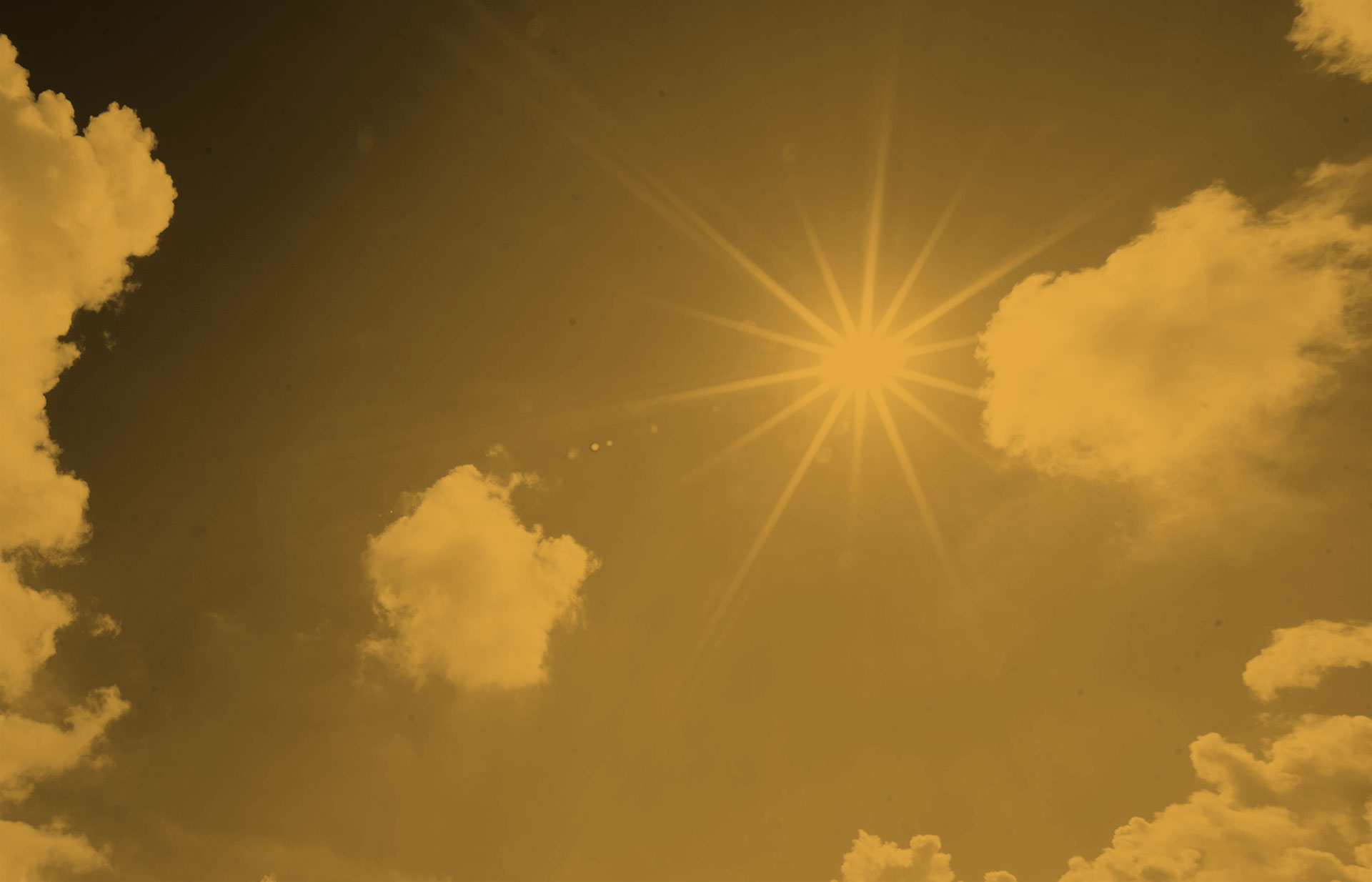 Nering naar de tering zetten — Hoofbosch Beleggingsfonds